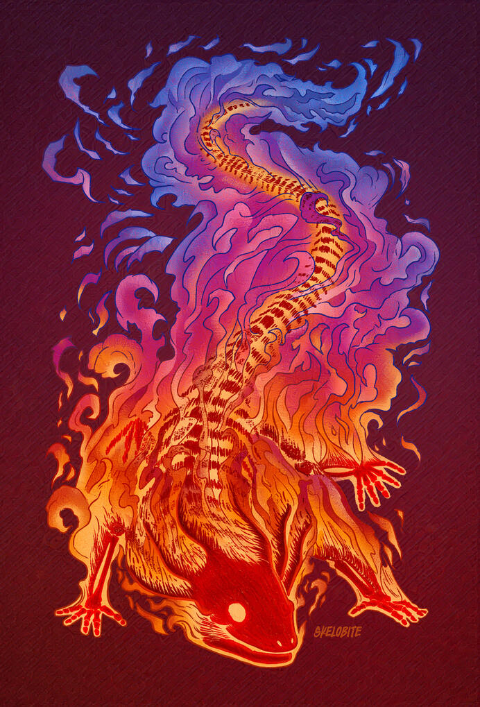 Kissed by Fire Kissed by Fire